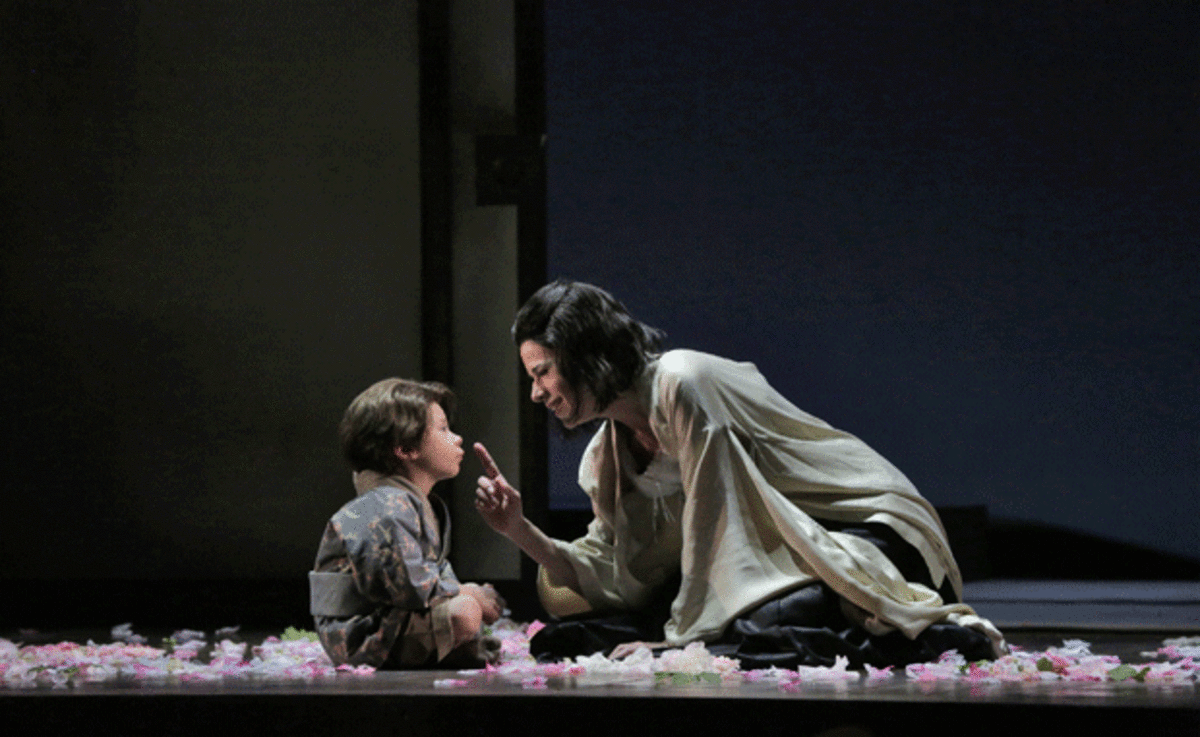 madame butterfly