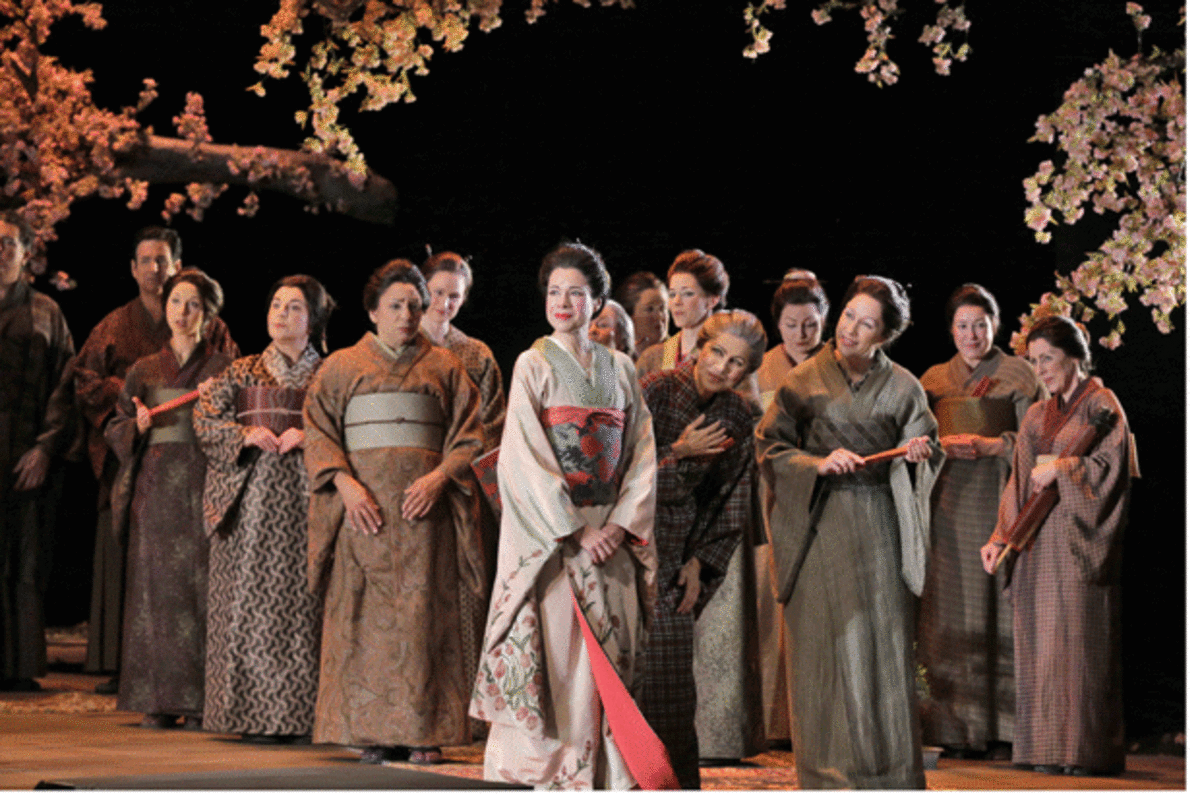 madame butterfly