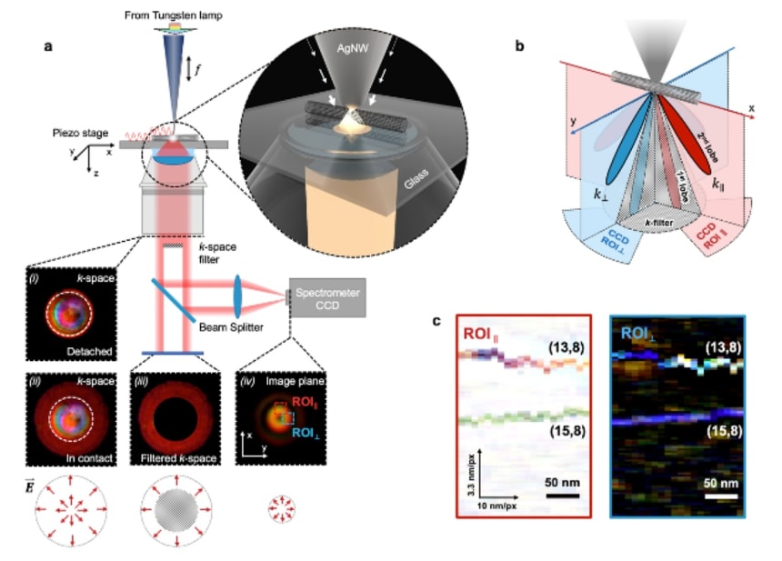“White” light from a tungsten lamp is focused into the tip of a silver nanowire to check the light scattering and absorption of a sample with high fidelity. (Ma et al., 2021)
