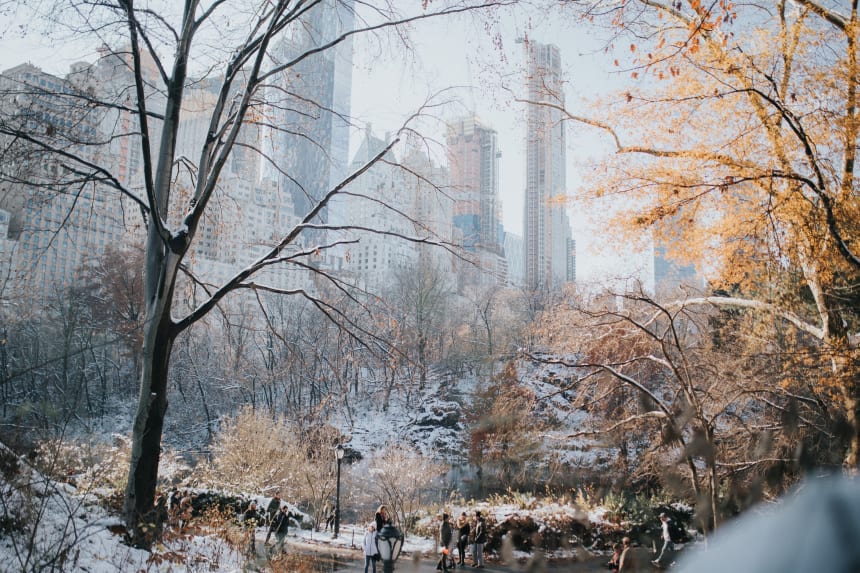 Photo by Caitlyn Wilson on Unsplash