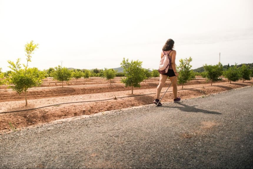As the pandemic lingers on, a walk through farm country is a good antidote. Photo by Cavan-Images via Shutterstock