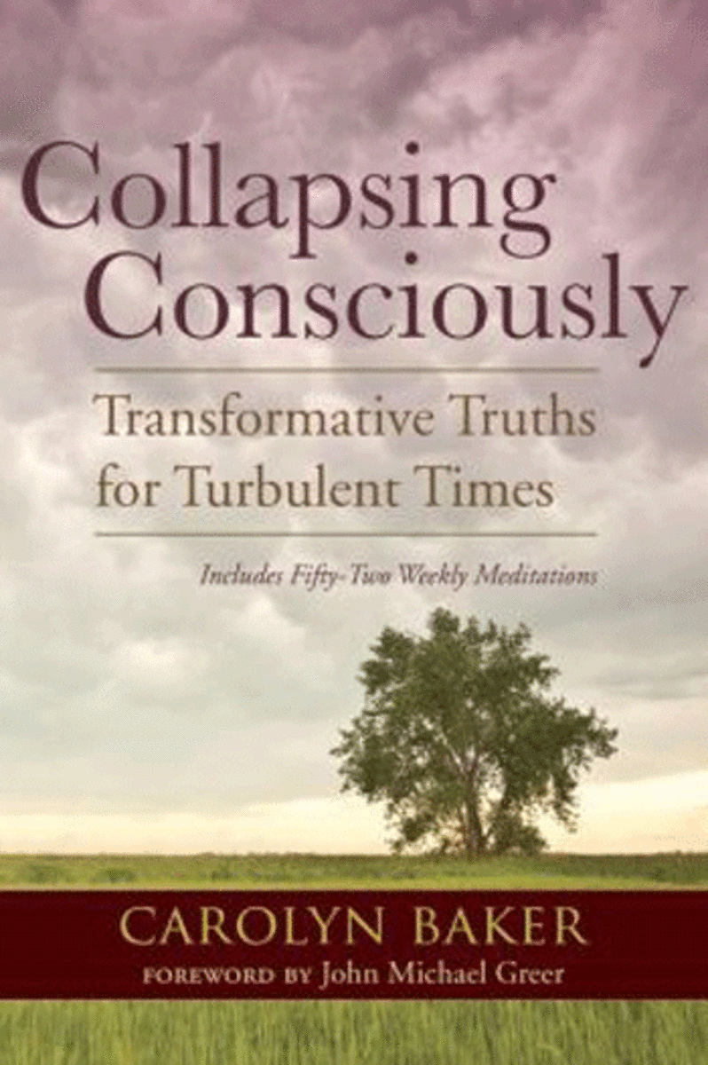 Collapsing-Consciously-book