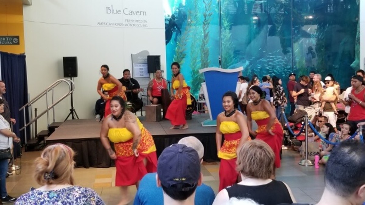 Pacific Islander Culture